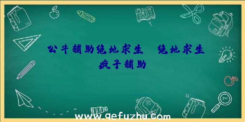 「公牛辅助绝地求生」|绝地求生疯子辅助